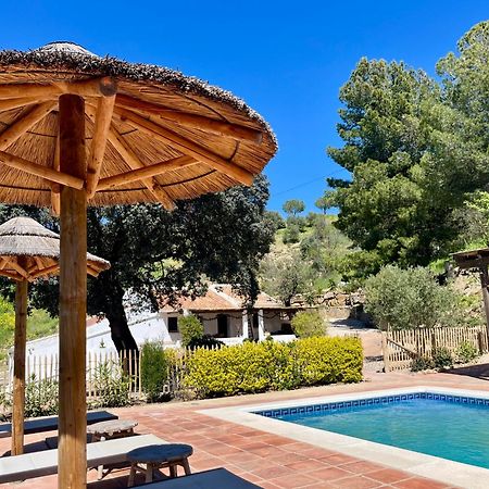 Finca El Sueño Andaluz Villanueva de la Concepción Exterior foto