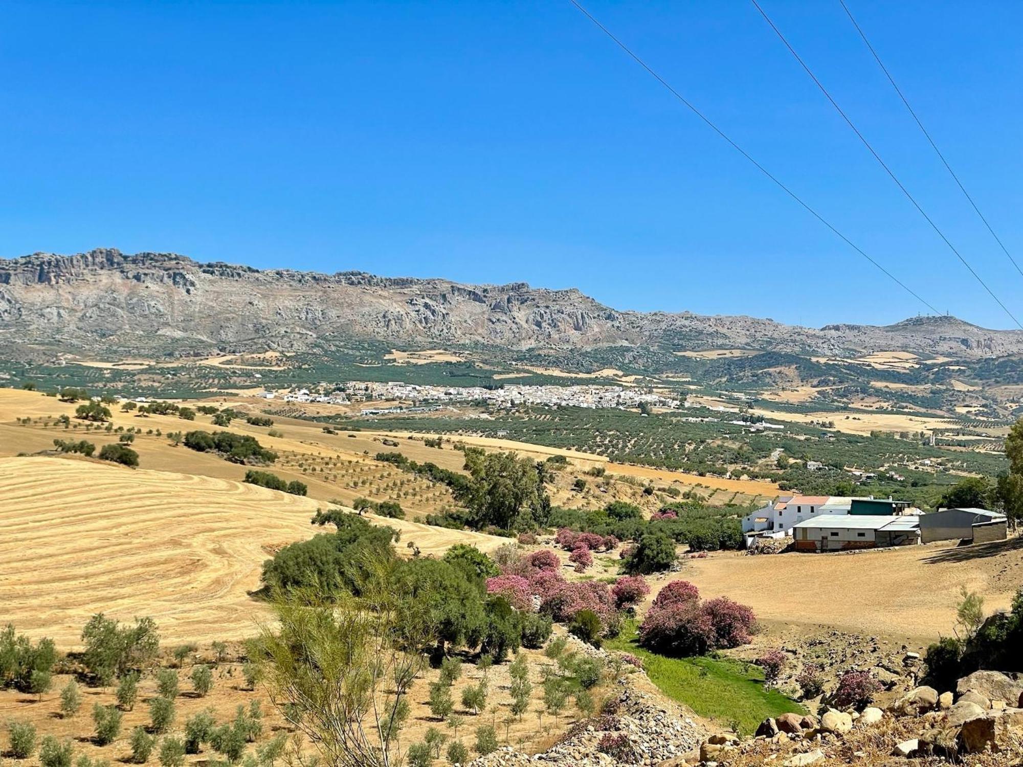 Finca El Sueño Andaluz Villanueva de la Concepción Exterior foto