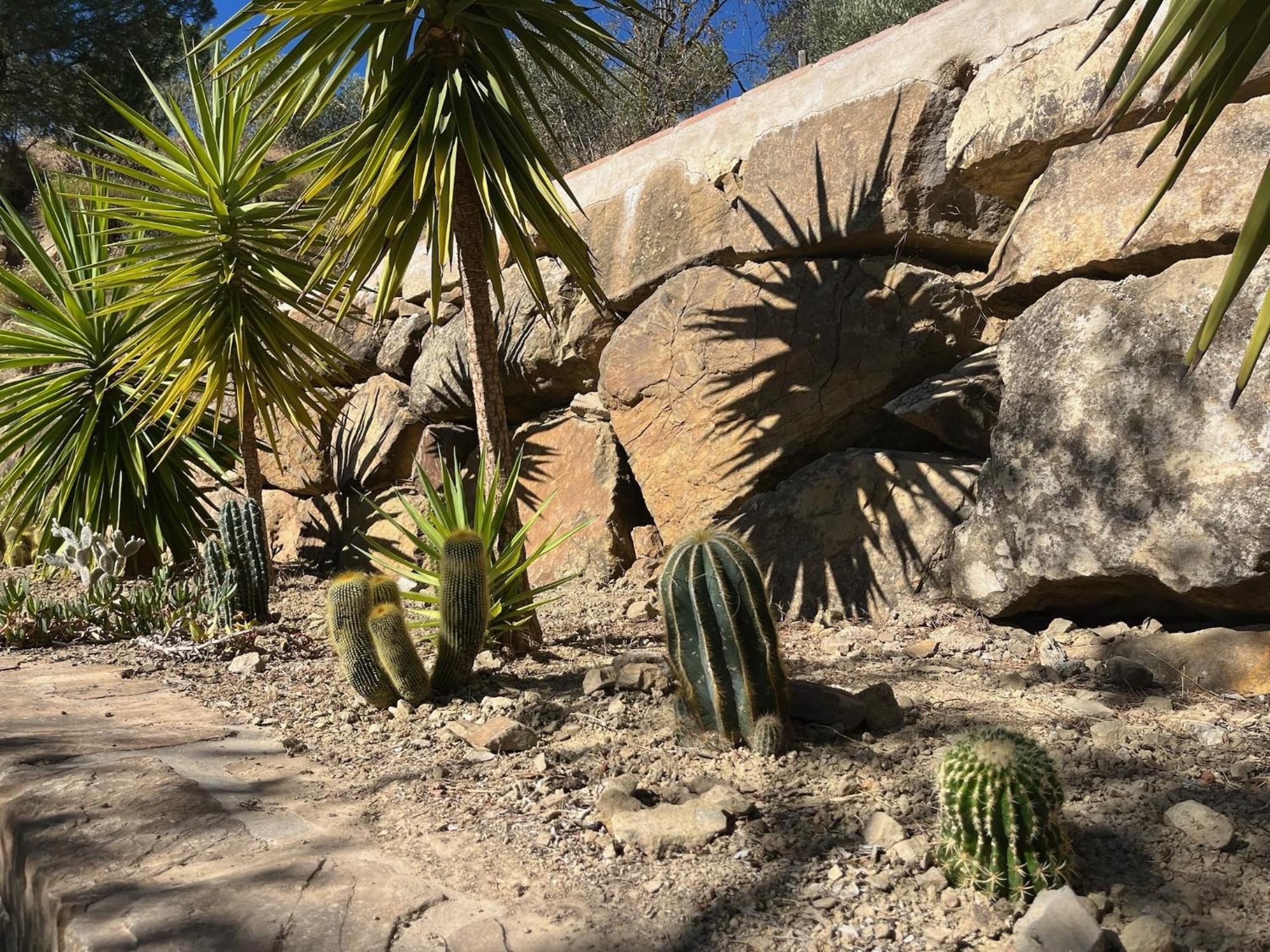 Finca El Sueño Andaluz Villanueva de la Concepción Exterior foto